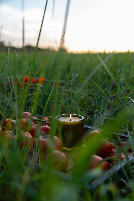 Autumnal Reset | October 2nd