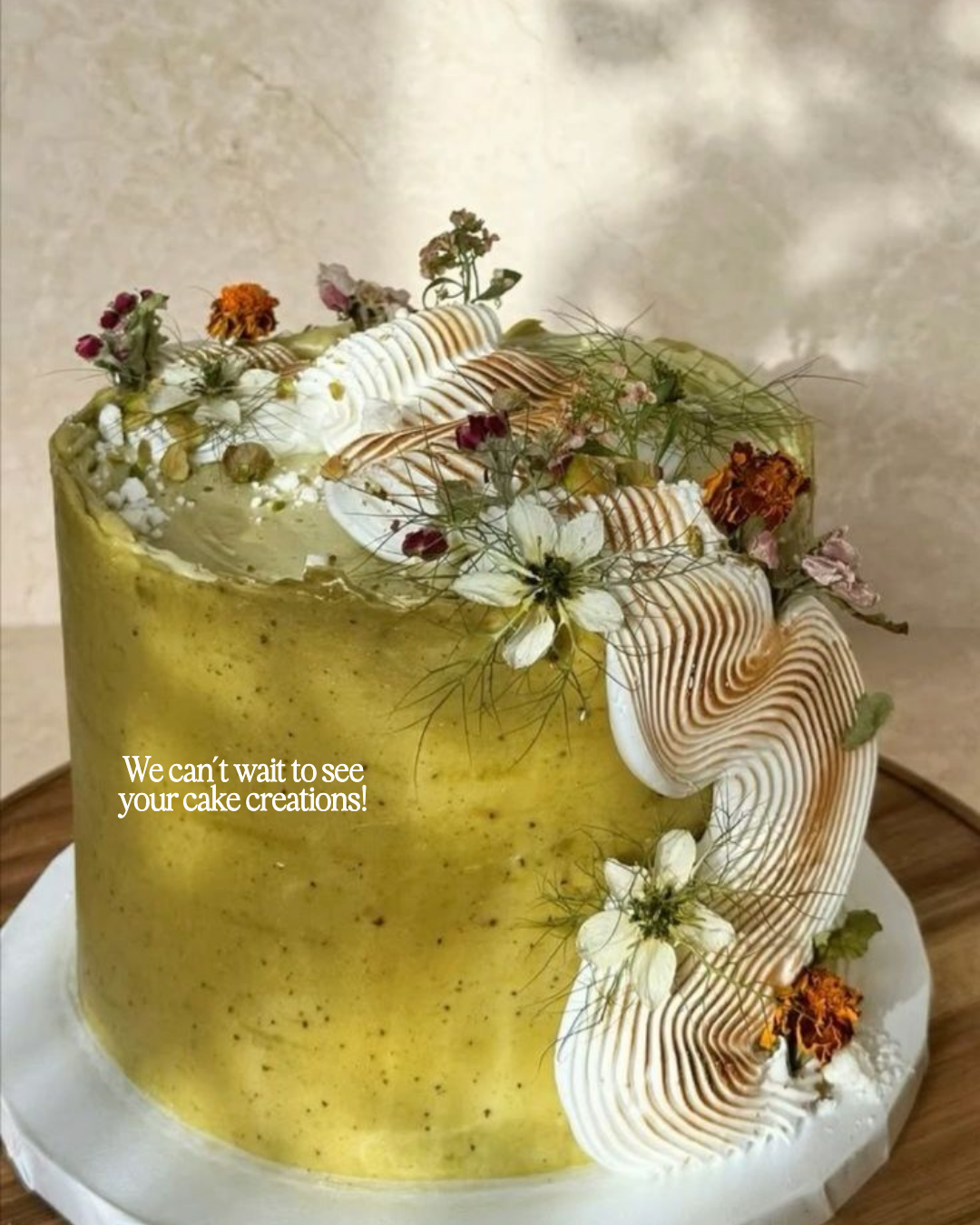 Let Them Eat Cake | Cake Picnic Fundraiser