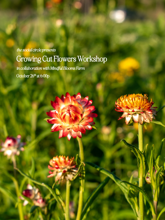 Growing Cut Flowers Workshop | October 26th