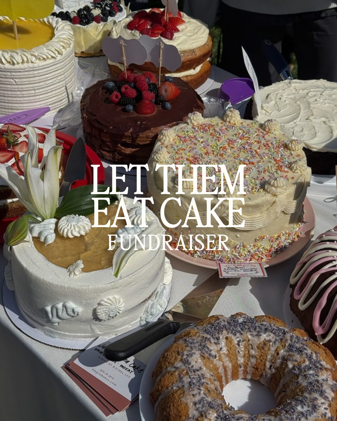 Let Them Eat Cake | Cake Picnic Fundraiser